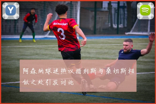 阿森纳球迷热议措利斯与桑切斯相似之处引发讨论