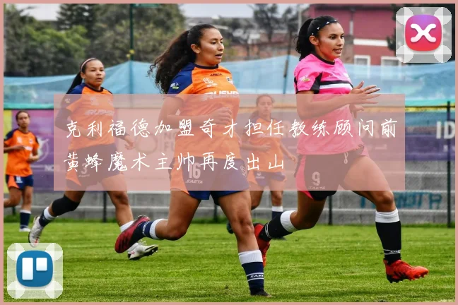 克利福德加盟奇才担任教练顾问前黄蜂魔术主帅再度出山