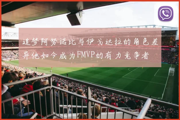 追梦阿努诺比与伊戈达拉的角色差异他如今成为FMVP的有力竞争者